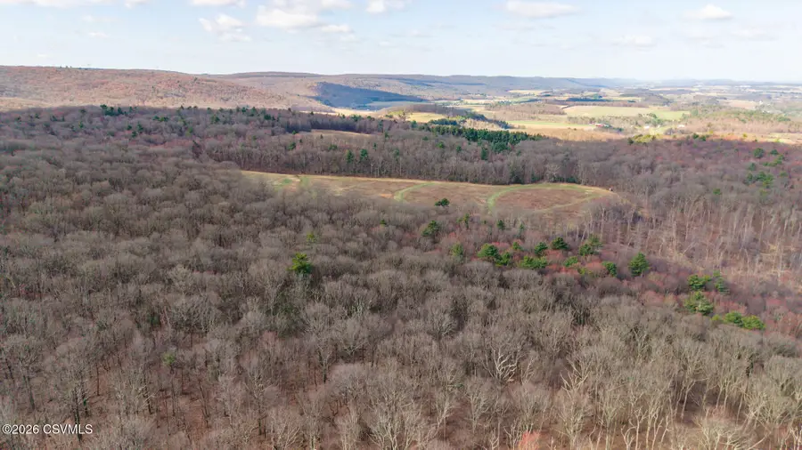 169 Vivian Lane, Catawissa, PA 17820 - #3