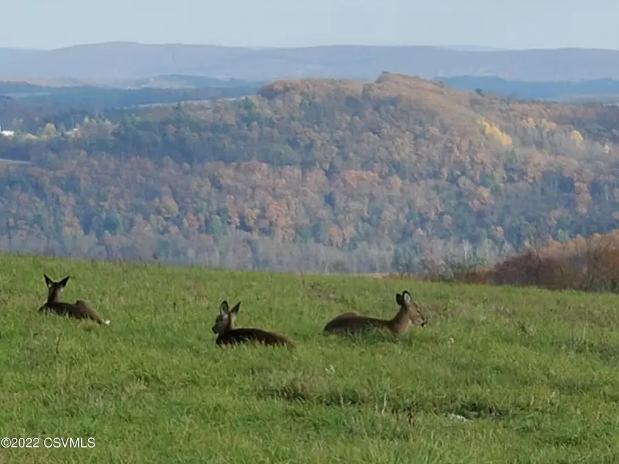 550 Ridge Road, Benton, PA 17814 - #2