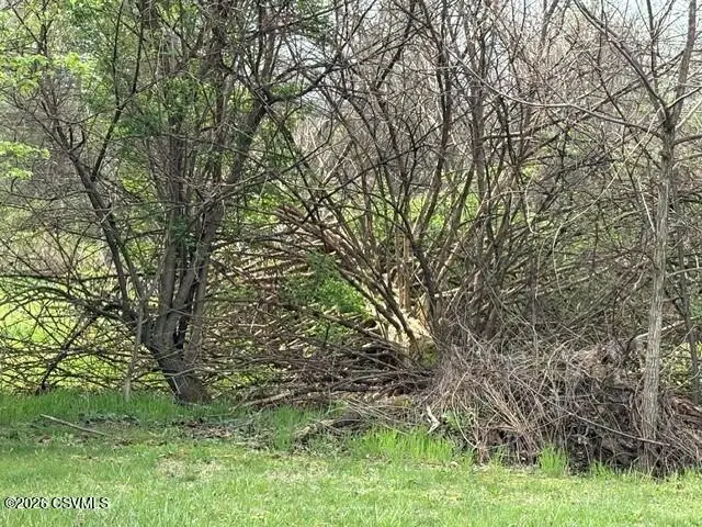 County Line Road, Winfield, PA 17889 - #2