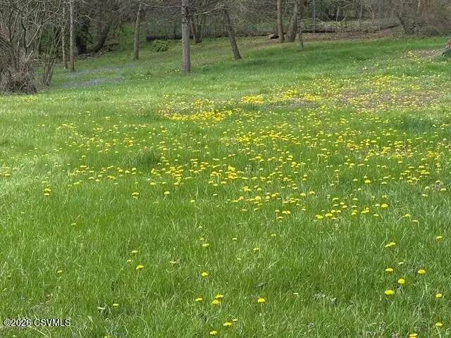 County Line Road, Winfield, PA 17889 - #3