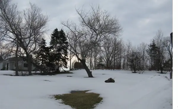 1323 E Grandview Blvd Avenue, Erie, PA 16504