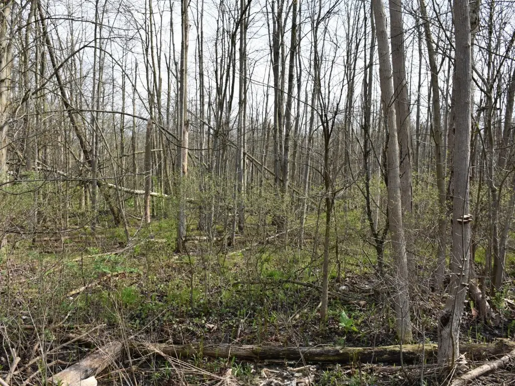 3214-024 Blooming Valley Road, Meadville, PA 16335 - Image #1