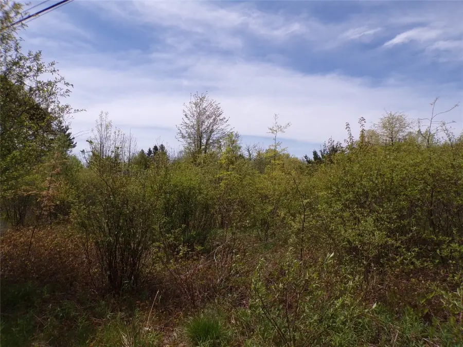 Pagan Road, Erie, PA 16509 - Image #3