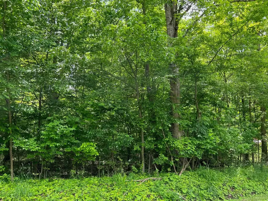 425 Lakeview Road, Jamestown, PA 16134 - Image #2