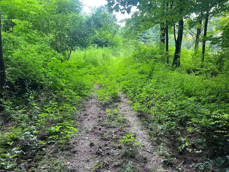 3+ /- Acres on Phelps Road, Linesville, PA 16424 - Image #2