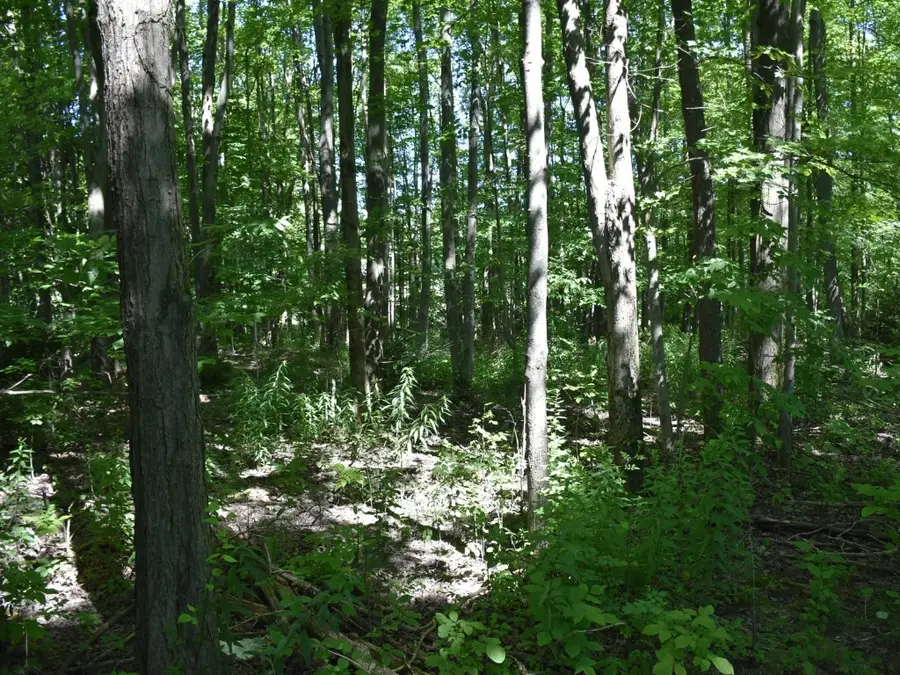 3210-072-6 Blooming Valley Road, Meadville, PA 16335 - Image #3