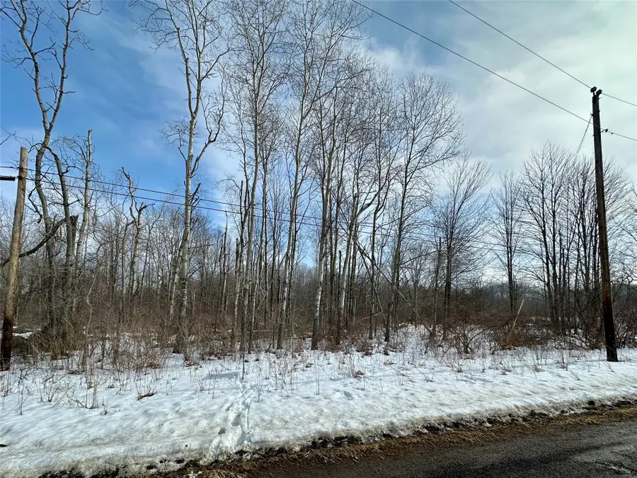 Porky Road, Albion, PA 16401 - #3