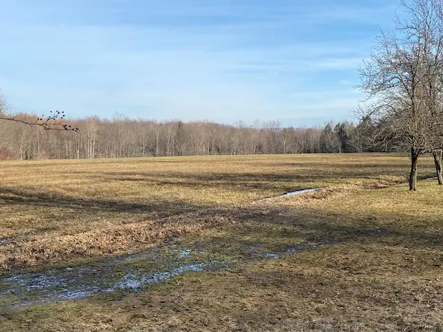 8795 Fuller Road, Venango, PA 16442 - #2