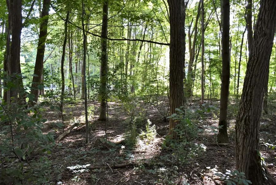 12390 Dogwood Lane, Conneaut Lake, PA 16316 - #3