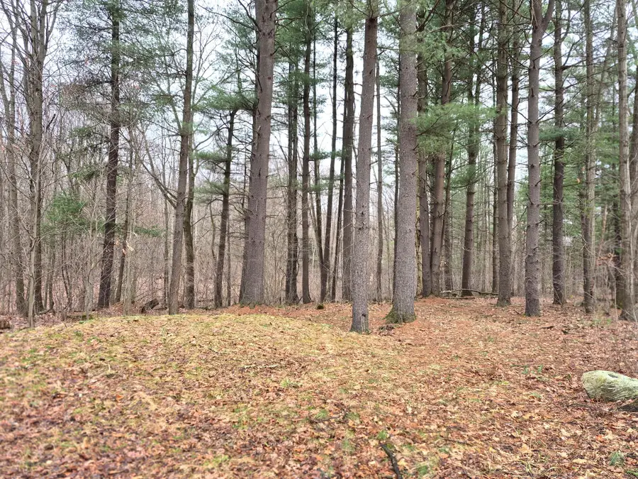 0 Maillard Road, Guys Mills, PA 16327 - #3