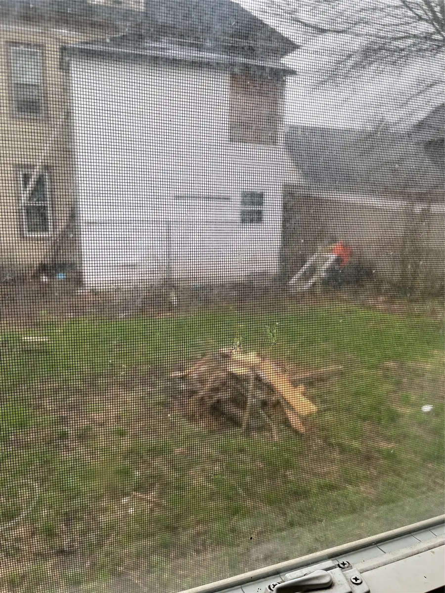 2613 Maple Street, Erie, PA 16508 - #3