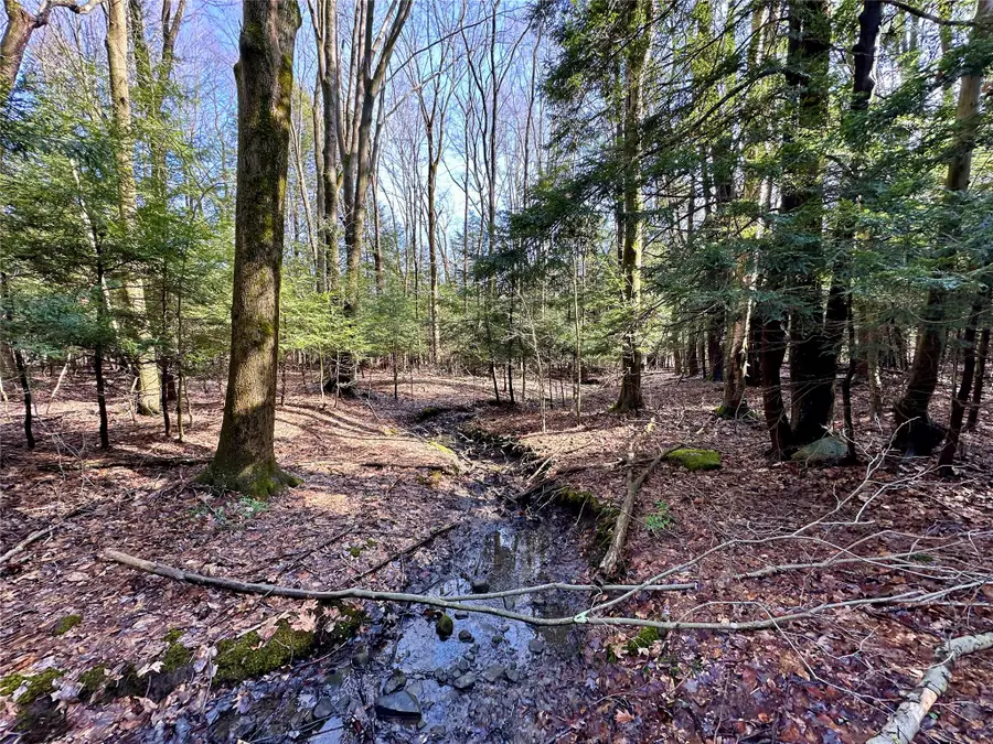 Route 6n And Fry Road, Edinboro, PA 16412 - #3