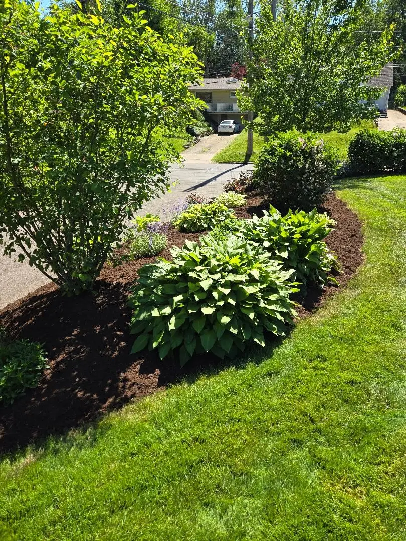 538 Gordon Lane, Erie, PA 16509 - #3