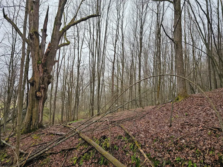 Off Plank Road, Corry, PA 16407 - #2