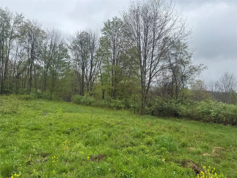 0000 Hollis Road, Meadville, PA 16335 - #3