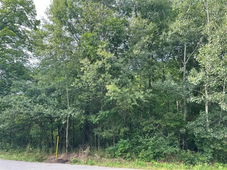 Leach Road, Espyville, PA 16424 - #2
