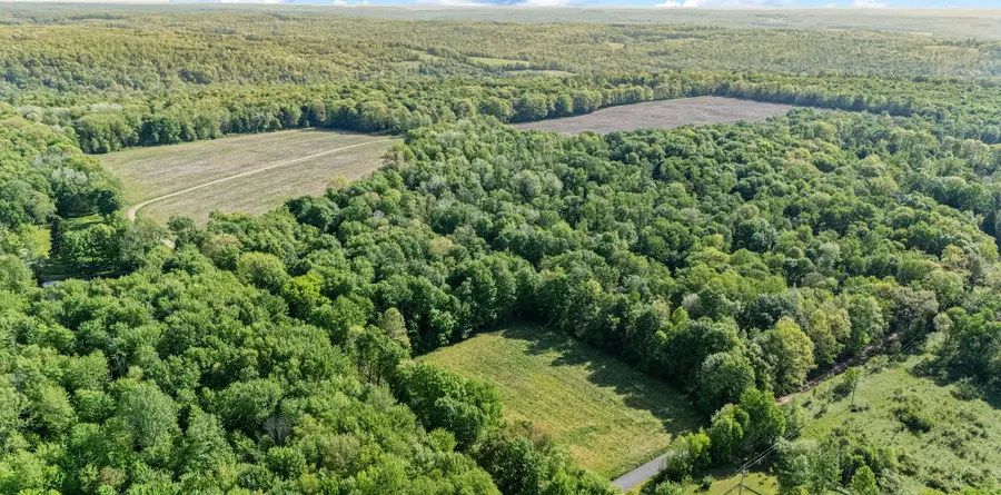 Wilson Mill Road, Cooperstown, PA 16317 - #3