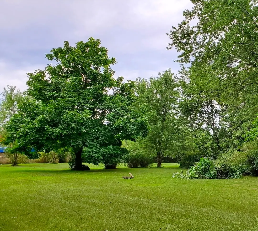 8186 Perry Highway, Summit, PA 16509 - #1
