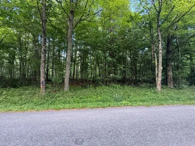 46 Acres Foust Road, Conneaut Lake, PA 16316 - #1