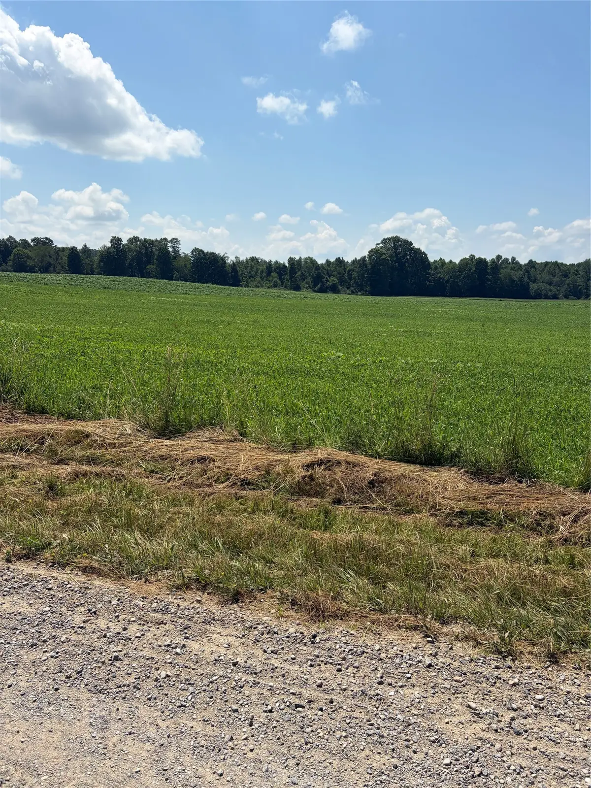 Wheeler Road, Linesville, PA 16424 - #1
