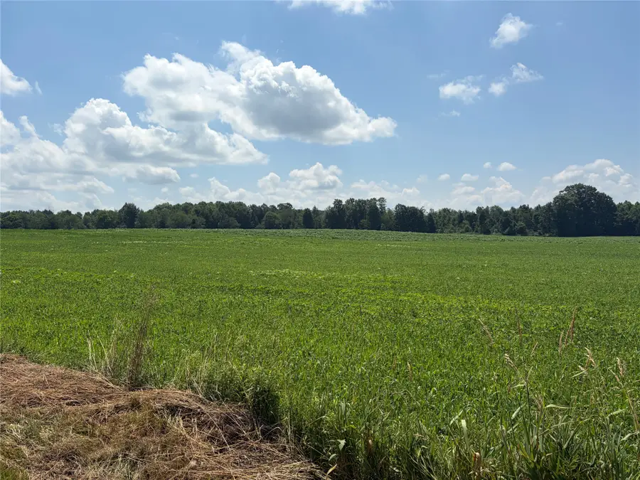 Wheeler Road, Linesville, PA 16424 - #2