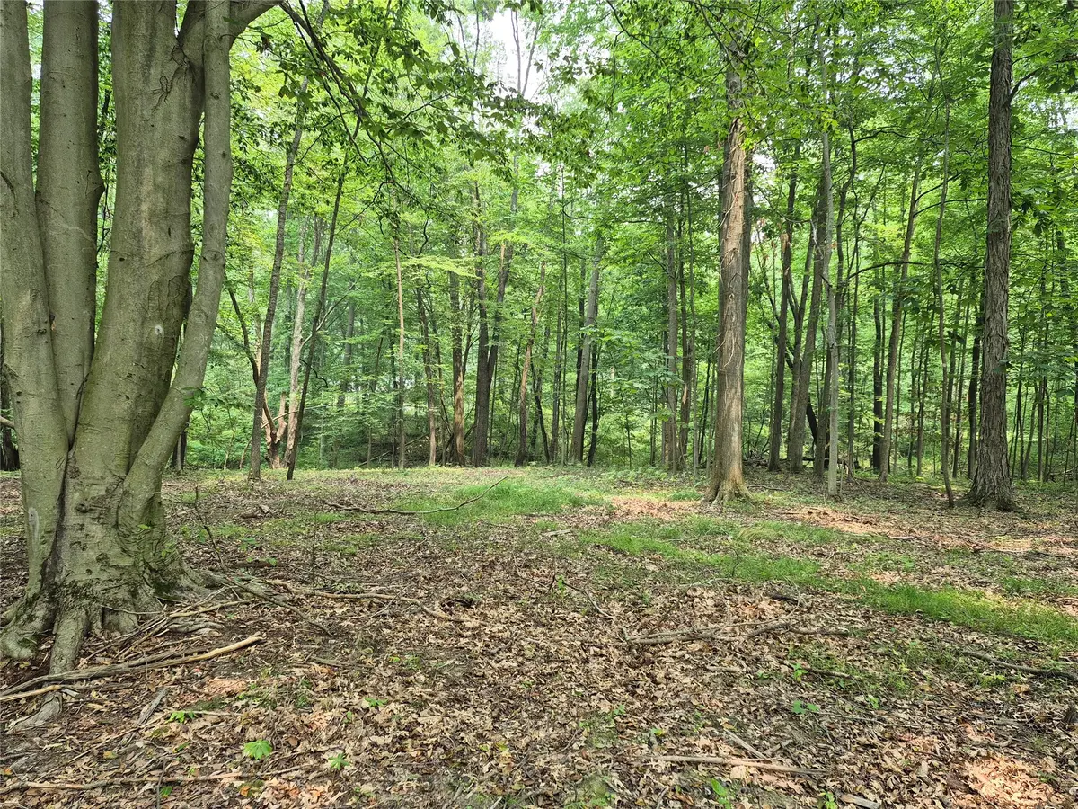 Penn Road, Fairfield, PA 16314 - #1