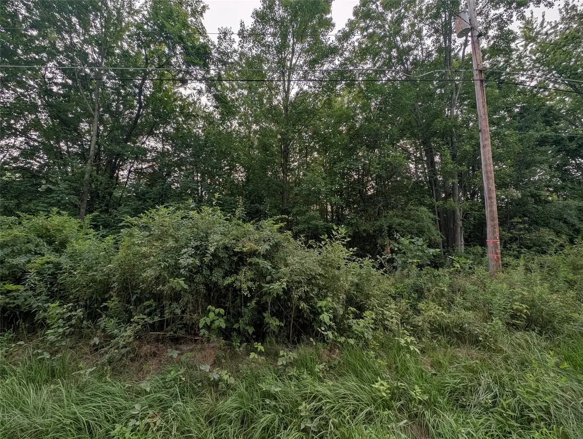 3rd Street, Espyville, PA 16424 - #1