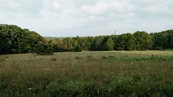 Mccaully Hill Road, Tidioute, PA 16351