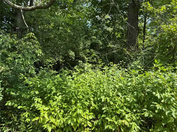 2.84 Acres Bambi Trail, Espyville, PA 16424