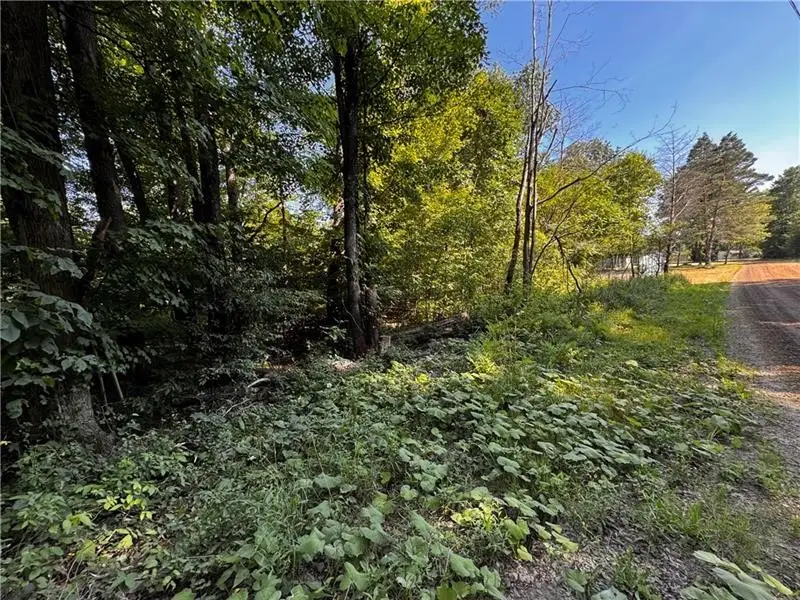 Lot 614, 637, & 638 Weed Road, Canadohta Lake, PA 16438 - #2