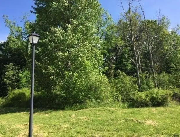 Hialeah Court, Erie, PA 16506 - #1