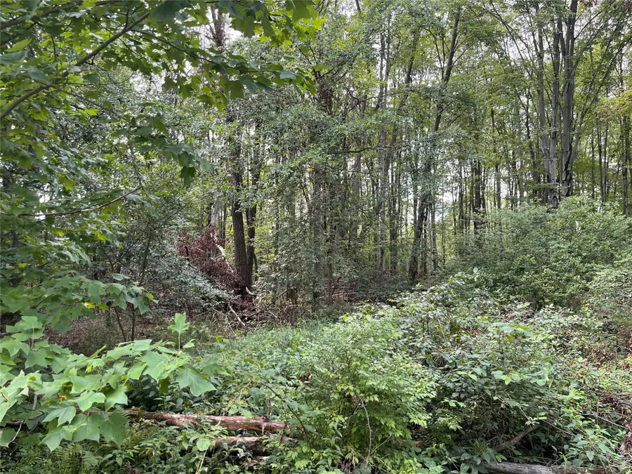 0 Reeds Road, Conneautville, PA 16406 - #2