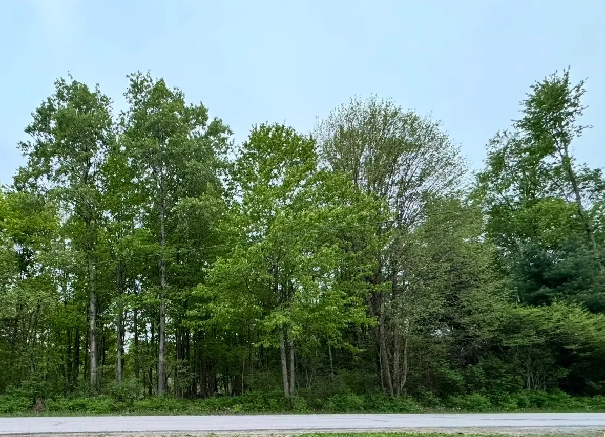 Lot 9-15 & 62-72 Elmwood Avenue, Canadohta Lake, PA 16438 - #1