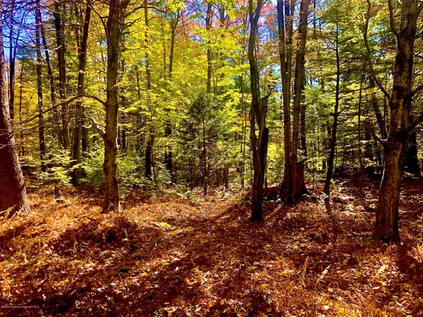 36 Kimberly Circle, Thornhurst, PA 18424