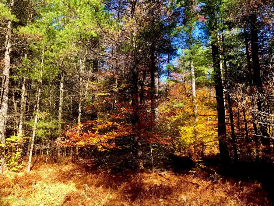 36 Kimberly Circle, Thornhurst, PA 18424 - Image #2