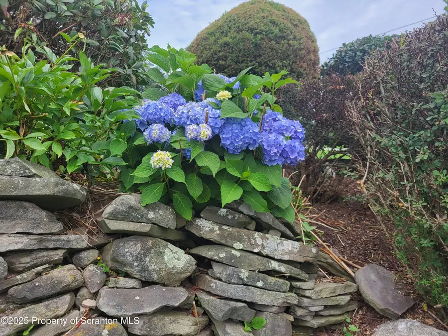 520 State Route 2010, Clifford Township, PA 18421 - Image #3