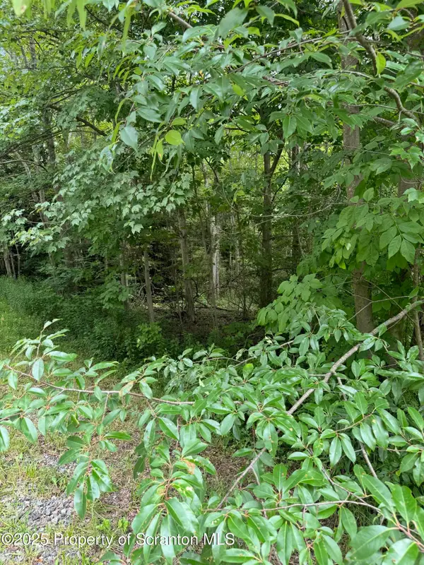 Wesser/o'hara Road, Spring Brook Twp, PA 18444