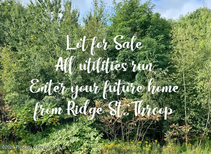 1000 S Valley Avenue, Throop, PA 18447 - Image #2