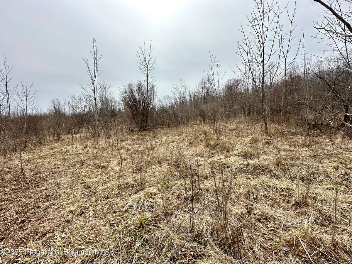 Murphy Hill Road, Pleasant Mount, PA 18453 - Image #1