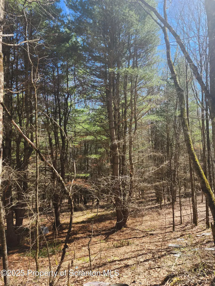 234 Tarbell Hill Road, Sanford, NY 13745 - Image #3