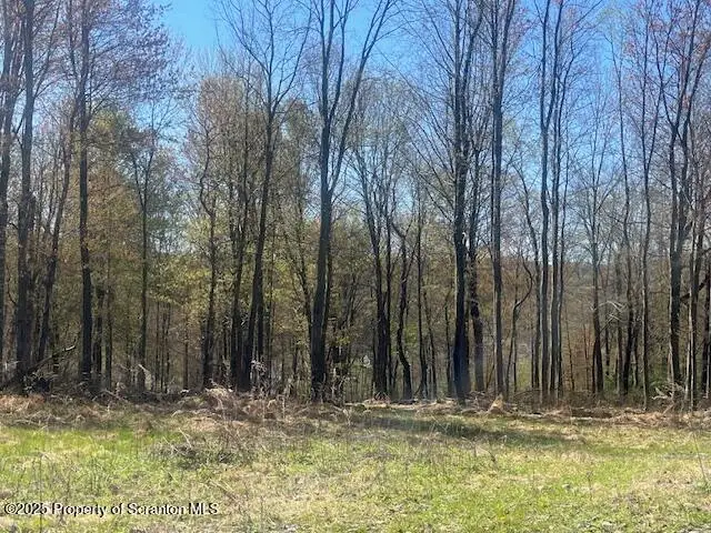 Waterford Road, Glenburn, PA 18411 - Image #1