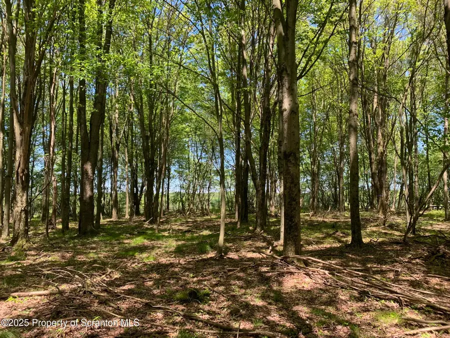 Old Newburg Turnpike, Union Dale, PA 18470 - Image #3