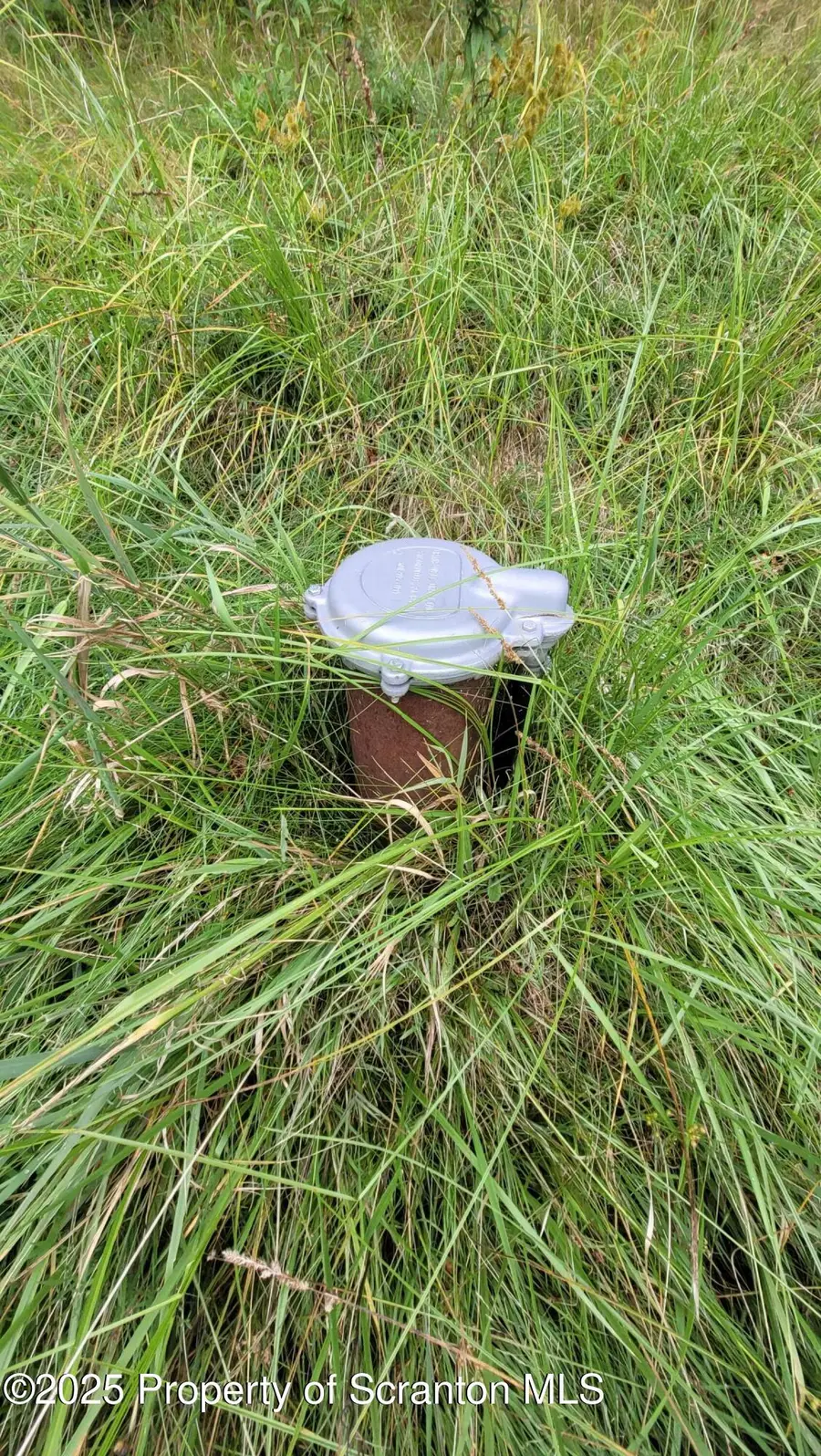 20158 State Route 171, Susquehanna, PA 18847 - Image #2