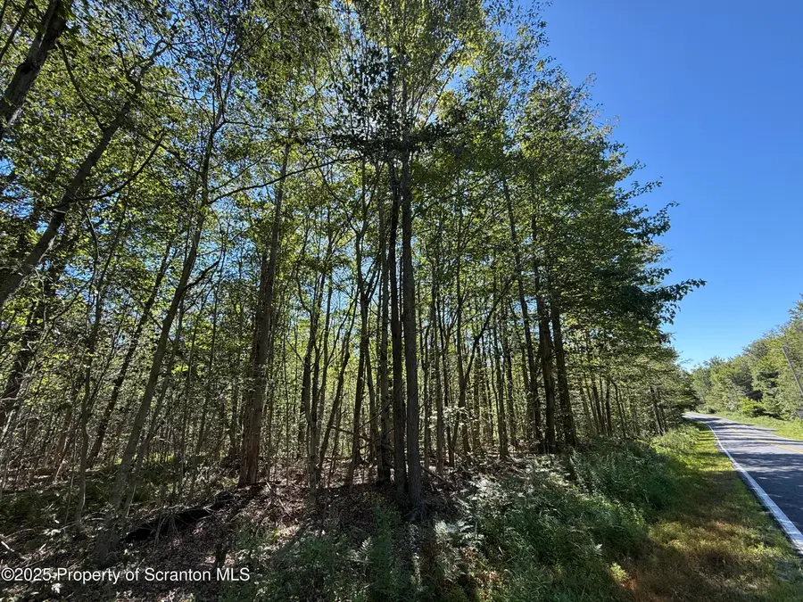 1089 Owego Turnpike, Fell Township, PA 18407 - Image #3