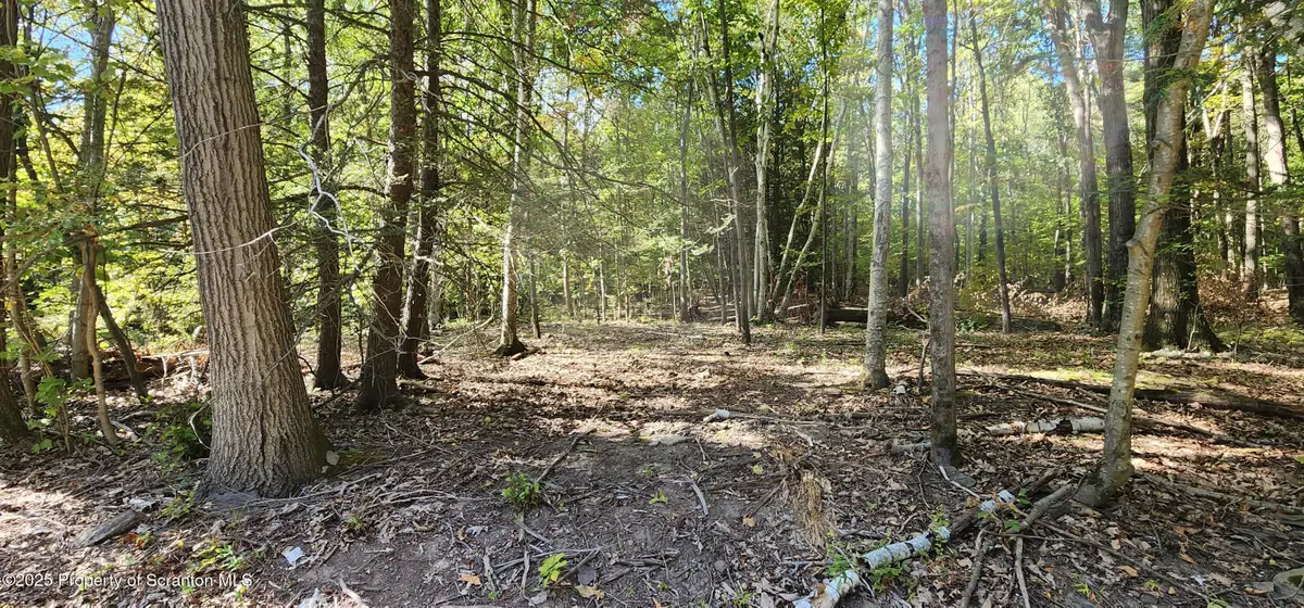 645 Evergreen Drive, Falls, PA 18615 - Image #1