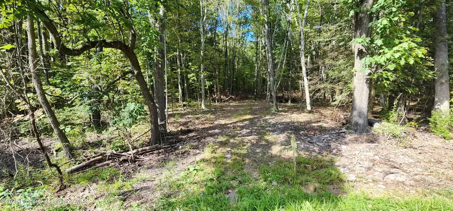 645 Evergreen Drive, Falls, PA 18615 - Image #2