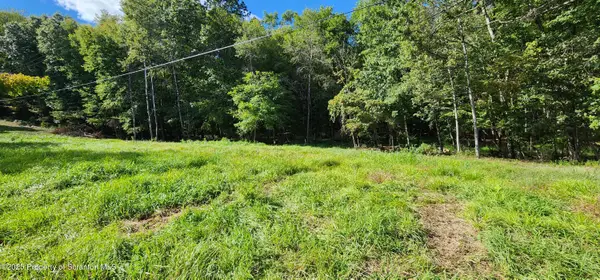 629 Evergreen Drive, Falls, PA 18615