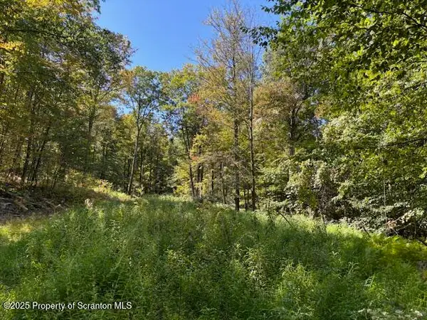 Lower Mill City Rd, Dalton, PA 18414