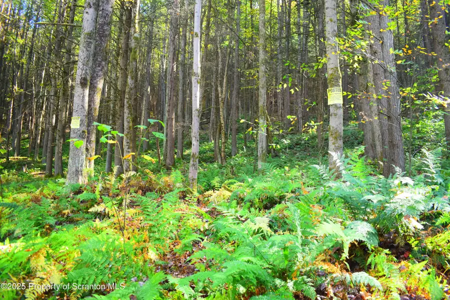 Graham Hollow Road, Hallstead, PA 18822 - Image #3