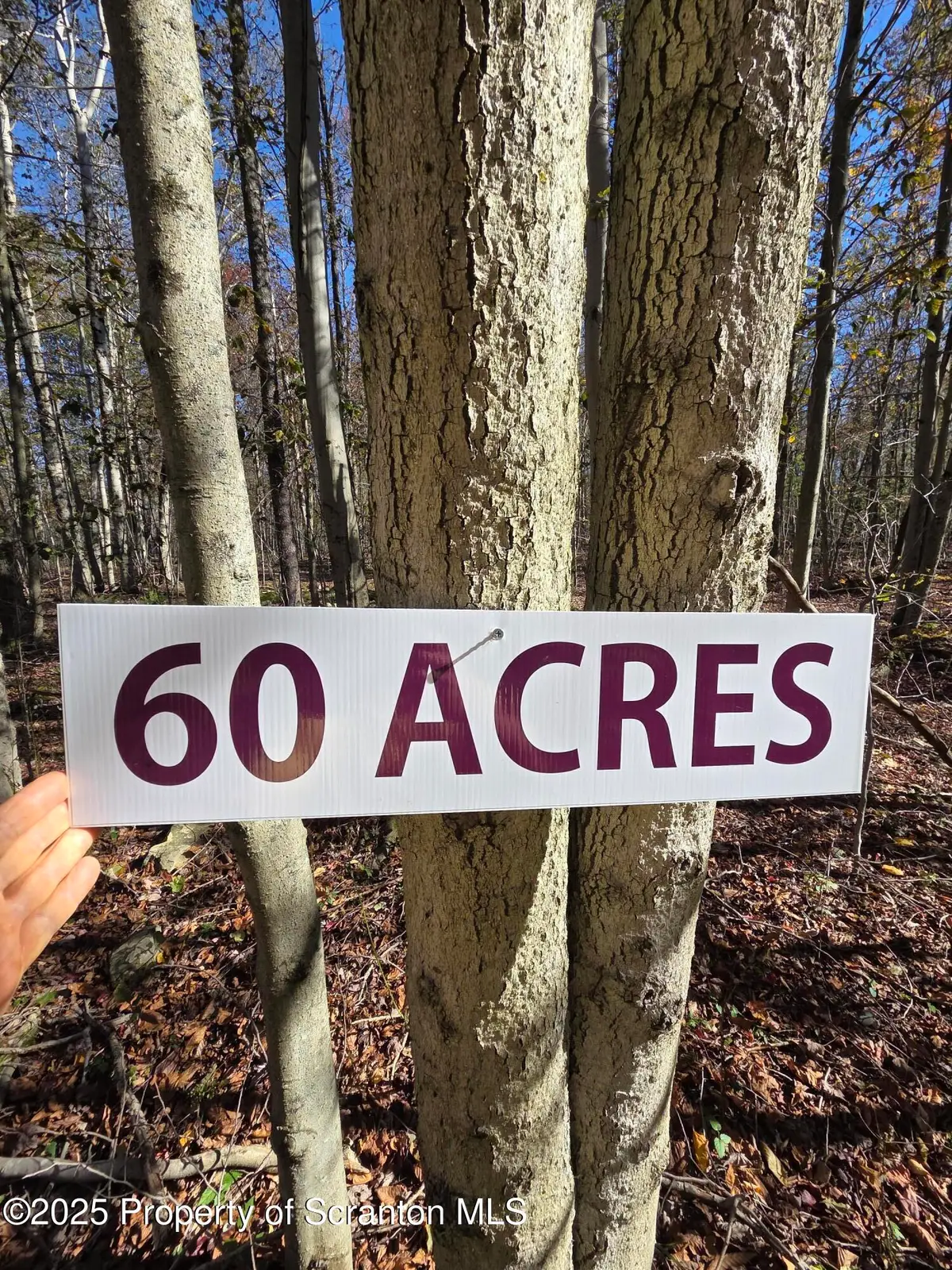 State Park Road Road, Gouldsboro, PA 18424 - Image #1